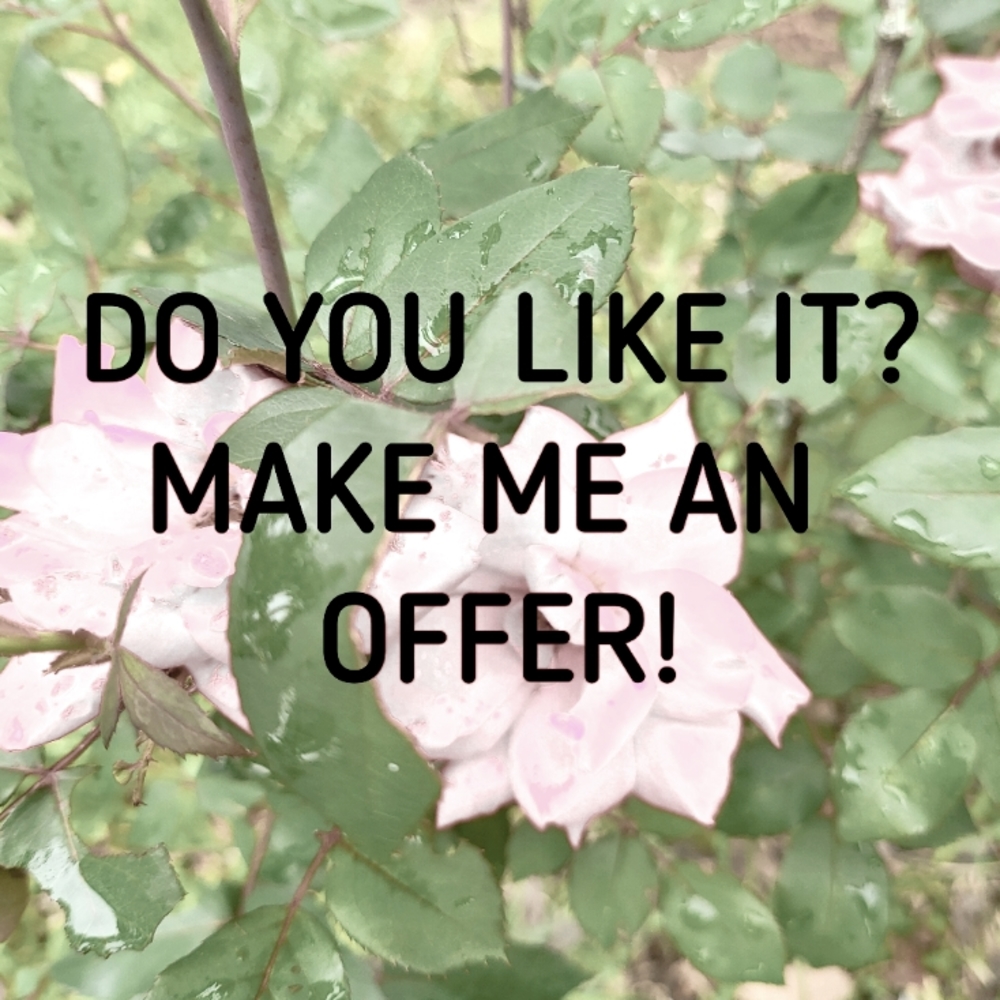 Offers are welcomed